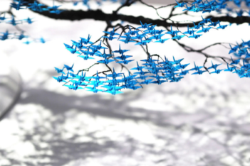 Наоки Огинава